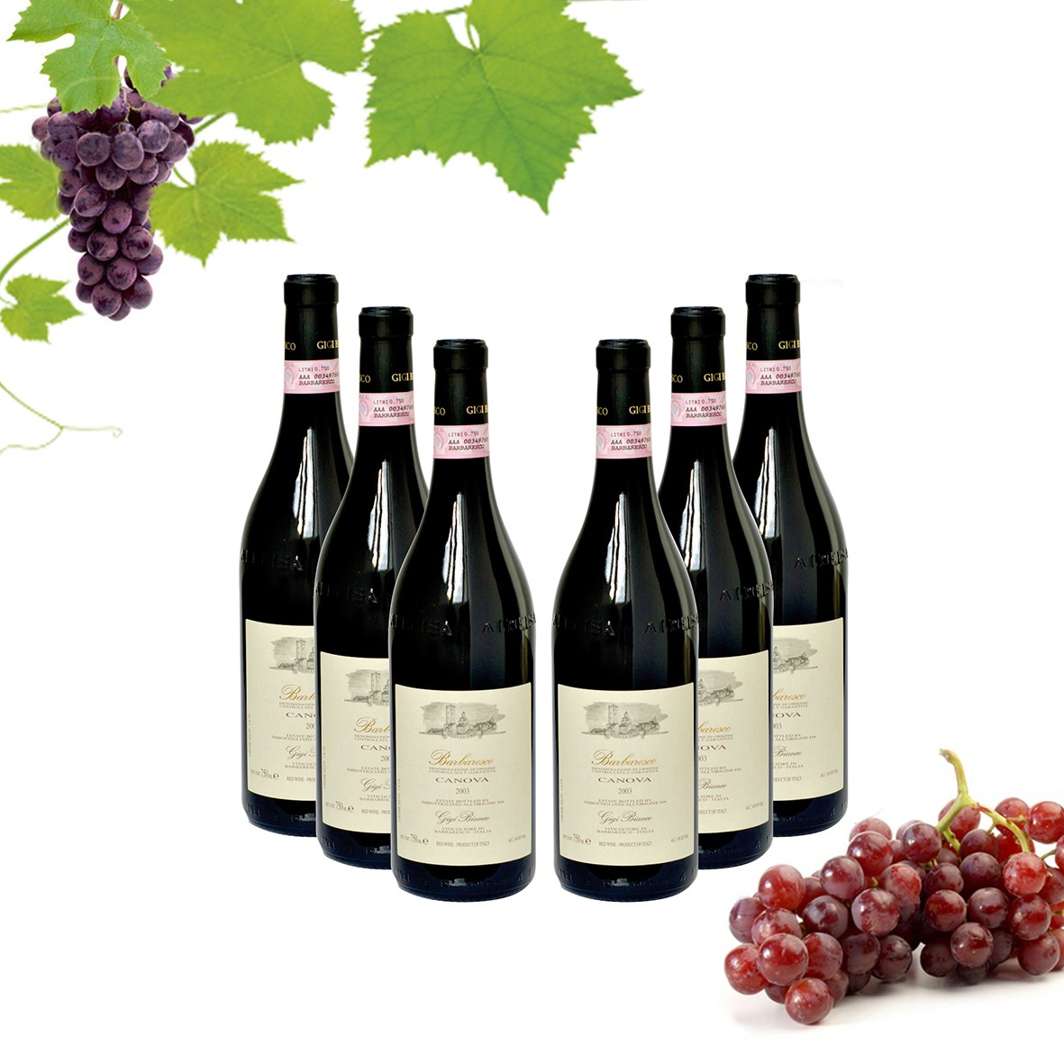 Weinset 6er Barbaresco