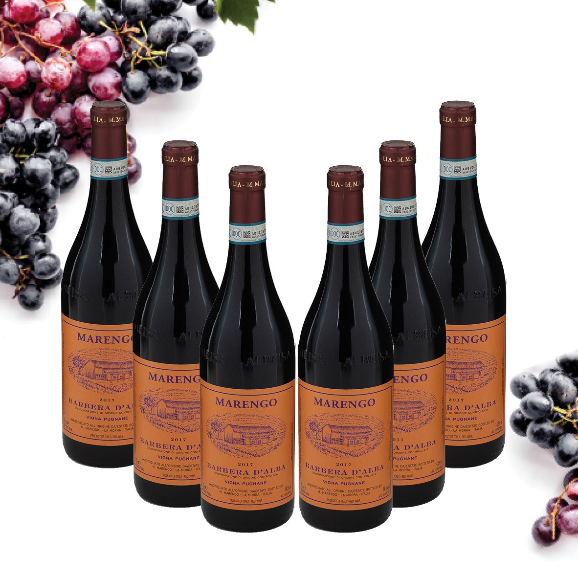 Weinset 6er Barbera d Alba